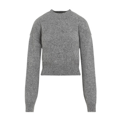 Grijze Gebreide Pullover Trui Jacquemus , Gray , Dames