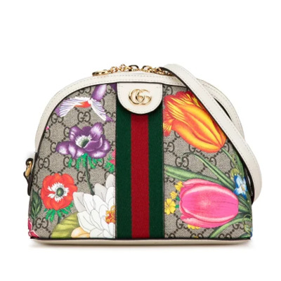 Pre-owned Canvas gucci-bags Gucci Vintage , Multicolor , Dames