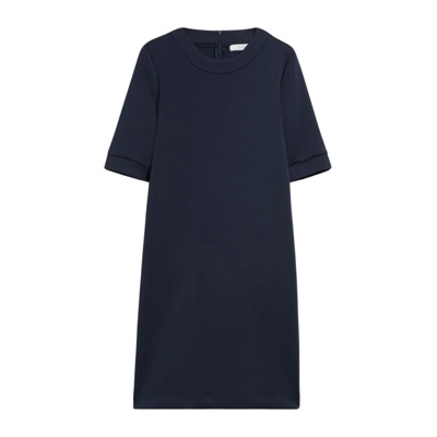 Vicenza Jurk Max Mara , Blue , Dames