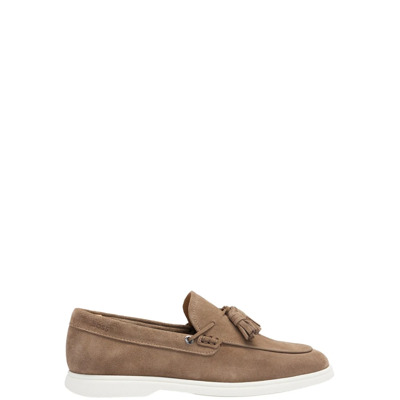 Sienne Moccasin Schoenen Boss , Brown , Heren