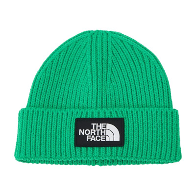 Box Logo Cuffed Beanie The North Face , Green , Unisex