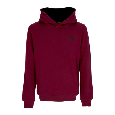 Boysenberry Seas Drew Peak Hoodie The North Face , Brown , Heren