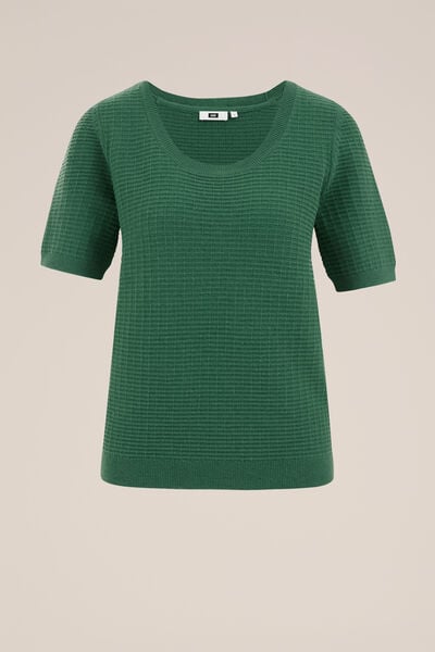 WE Fashion - Dames trui met structuur - Regular fit - Groen - Nylon - Maat: XS