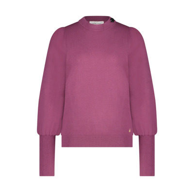 Paarse Ronde Hals Pullover Fabienne Chapot , Purple , Dames