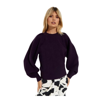 Paarse Wollen Kasjmier Trui Isabel Marant , Purple , Dames