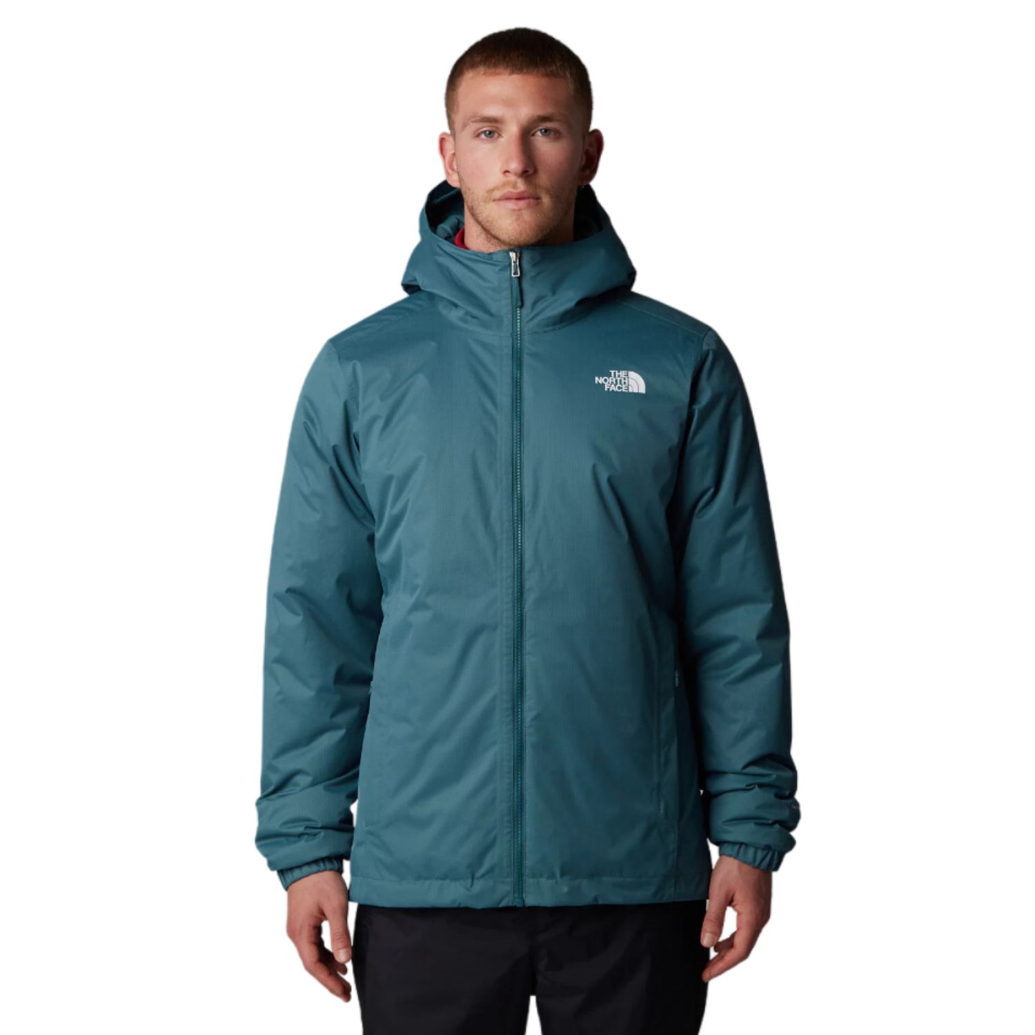 The North Face Casual winterjas heren