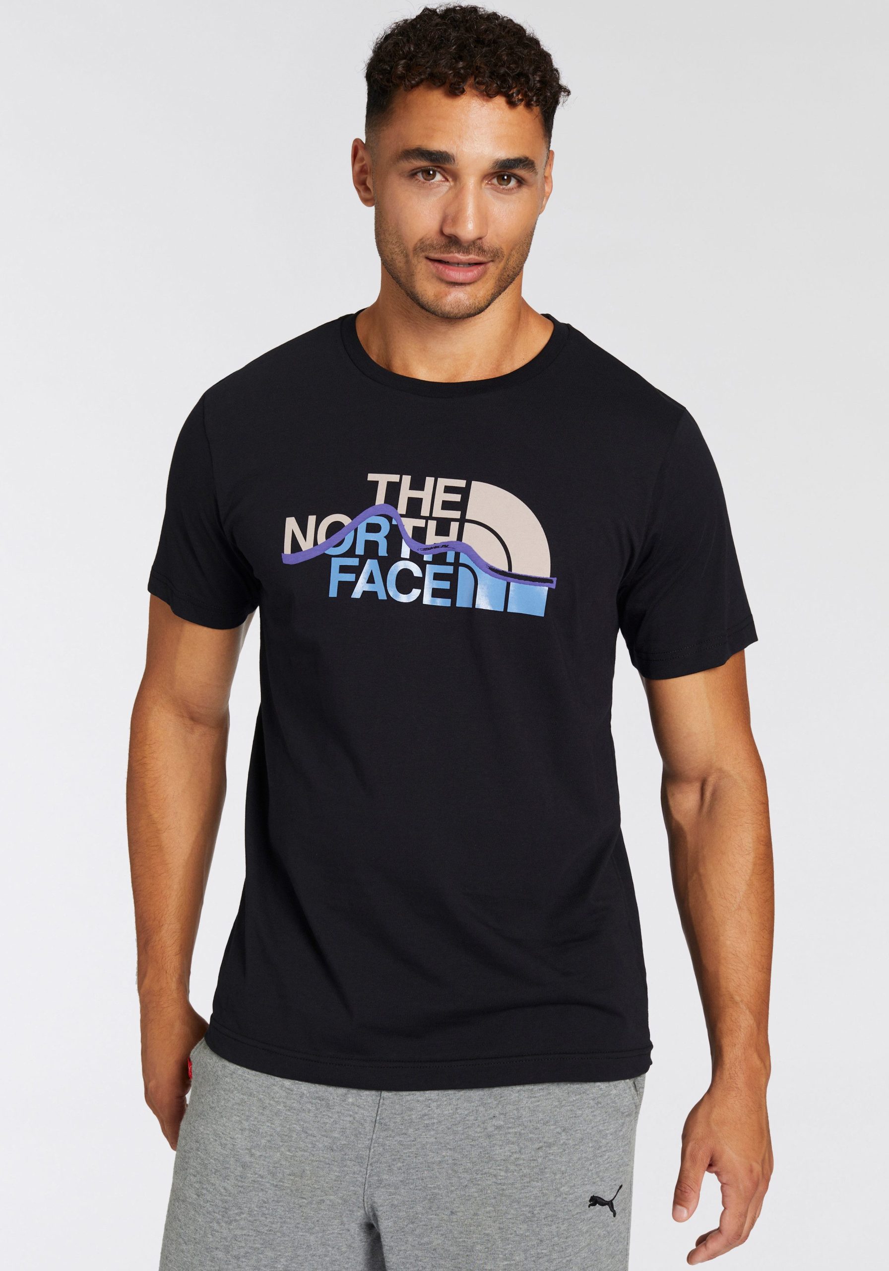 The North Face T-shirt M S/S MOUNTAIN LINE TEE (1-delig)