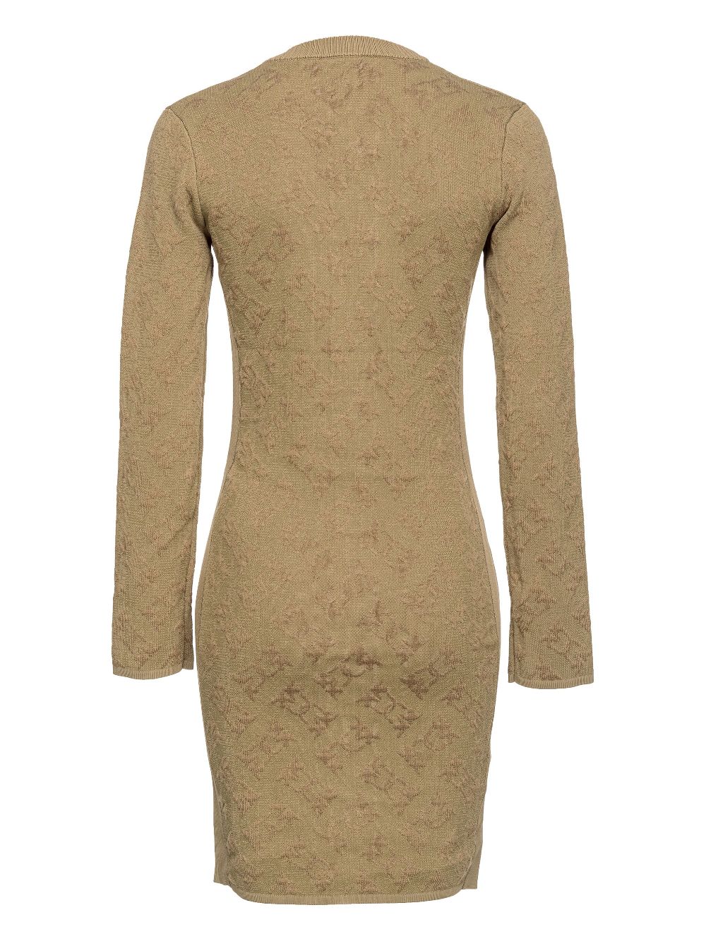 PINKO Jurk met jacquard - Beige