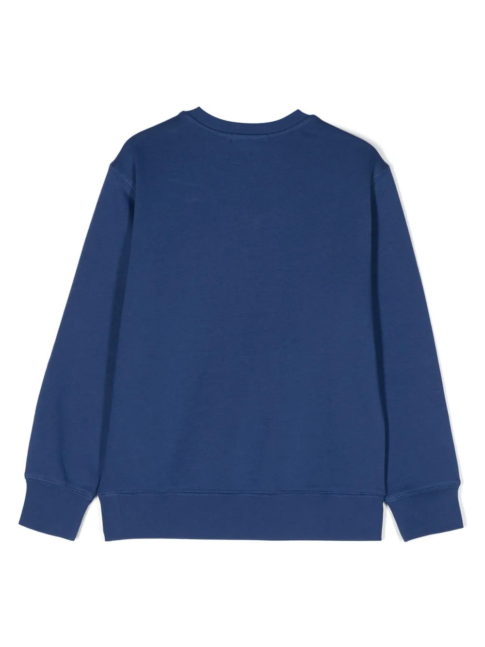 POLO RALPH LAUREN KIDS Sweater met teddybeerprint - Blauw